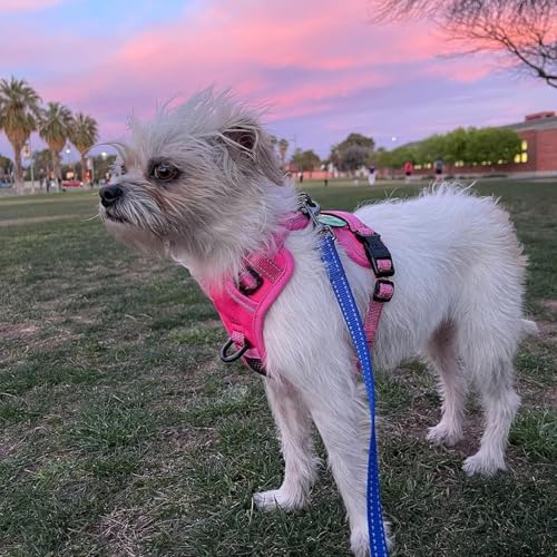 Image of PoyPet No Pull Dog Harness, No Choke Reflective Dog Vest, Adjustable Pet Harnesses with Easy Control Padded Handle for Small Medium Large Dogs(Pink Matching Trim,XS)