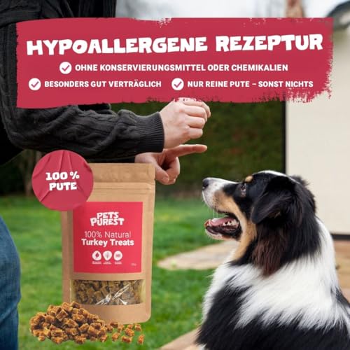 Pets Purest Natürliche Hundesnacks mit 100% Truthahn 100 g – leckere getreidefreie, fettarme und proteinreiche, hypoallergene Kausnacks für das Training für Hunde, Welpen und ältere Tiere.