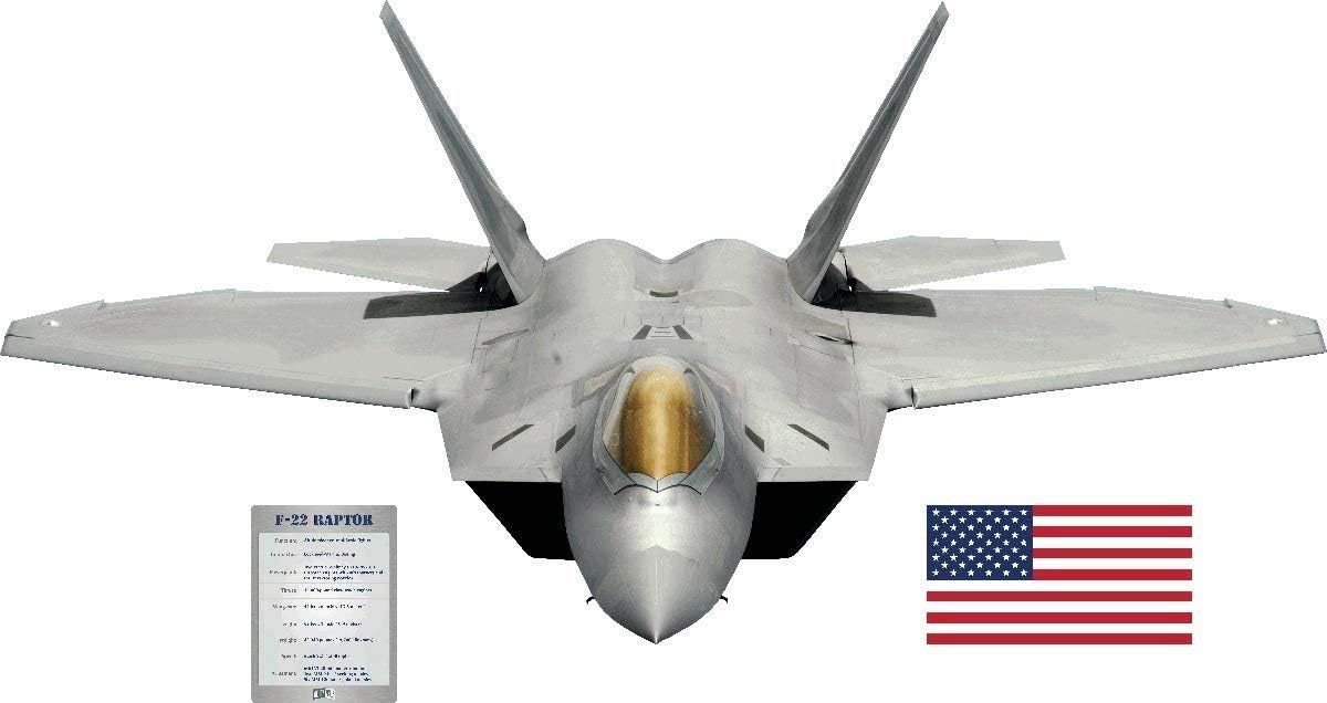 Lee F-22 Wall Decal Cutout 25.5"x48"