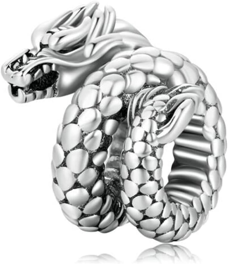 Lucky Animal Charms For Bracelets,Original 100% 925 Sterling Silver Charm Bead birthday charms Christmas charms for bracelets (Dragon Charm Silver)