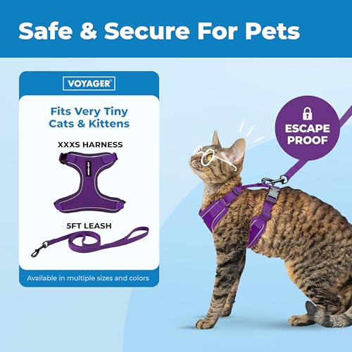 Image of Voyager Escape-Proof Step-in Lock Cat Harness & 5ft Neoprene-Handle Leash Set All-Weather Mesh with Reflective Stitching for Small to Large Cats by Best Pet Supplies, Purple (327), XXXS