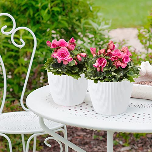 TULMERO Matte Flower Pot, Plastic Planter, Decorative Pot for Large Plants 3 x Flower Pot Set, Flower Pot Herb Pot - Image 4