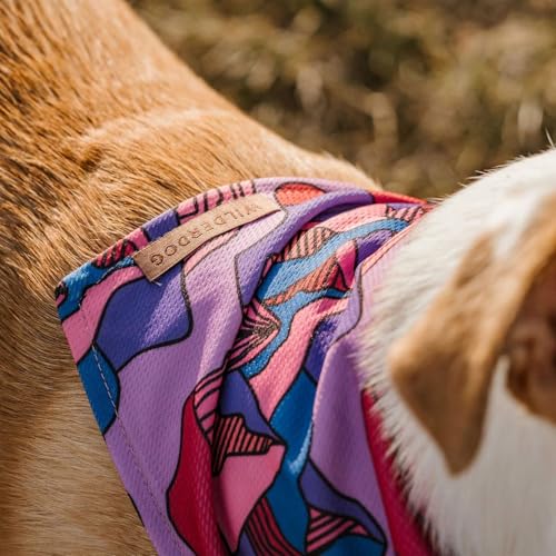 Image of Wilderdog Dog Bandana with Lightweight Quick Drying Poly-Blend Mesh Material in Summit
