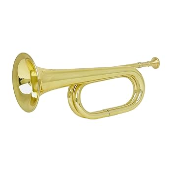 Amazon.co.jp: トランペット 学校 金管楽器 ラッパ ホーン