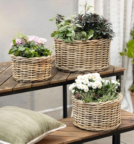 Dekoleidenschaft 3X Pflanzkorb Koboo Grey aus Rattan Ø 26 32 40 cm Blumentopf Pflanzkübel Pflanztopf für Draußen Blumenkübel
