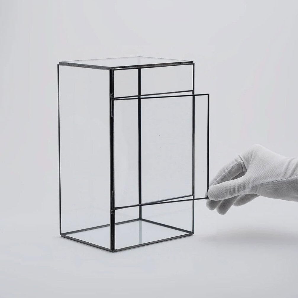 BESPORTBLE Rectangle Glass Terrarium with Door, Succulent Air Planter Clear Glass Container DIY Flower Plant Terrarium Plants Holder Micro Landscape for Tabletop Vase Decoration