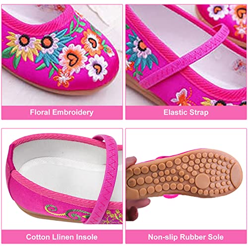 Girls Encanto Costume Shoes Mirabel Isabela Madrigal Floral Embroidery Mary Jane Flats Shoe Halloween Princess Dress Shoes3