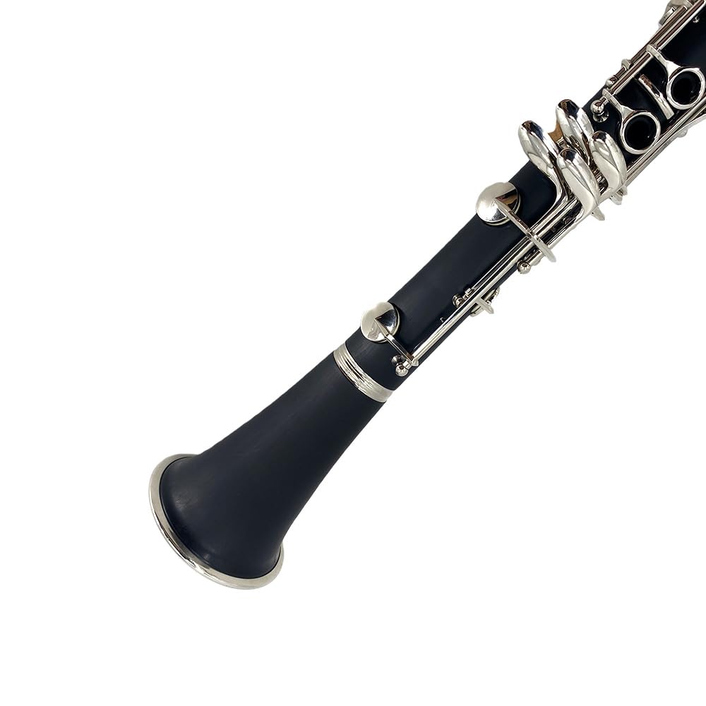 Clarinete para principiantes, clarinete profesional de ebonita con 2 barriles, kit de limpieza de estuche rígido, guantes de grasa de corcho y boquilla (llave BB)