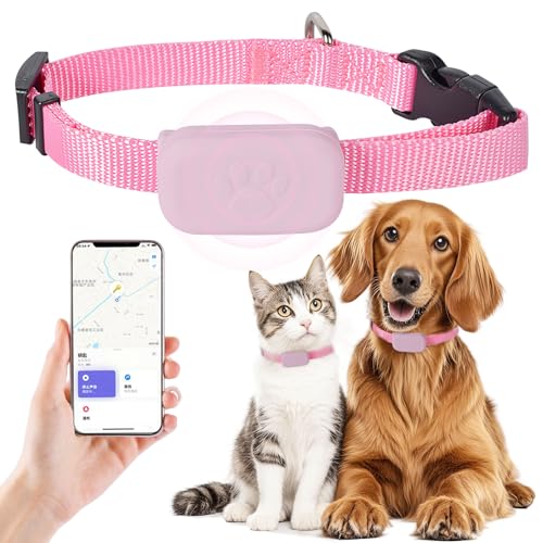 Collier GPS pour Chat - Tracker Localisation sans Abonnement (Compatible iOS...