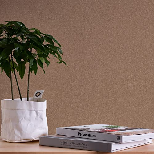 A.S. Création WTD 389262 Papier peint intissé uni Marron Terra 10,05 x 0,53 m