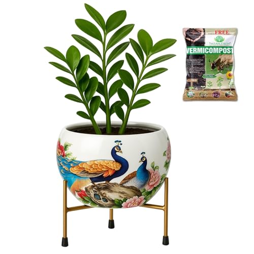 Image of Natural Earth Metal Flower Vase Planter Pot with Iron Stand | Decorative Plant Cachepot for Indoor & Outdoor Use | Succulent Pot for Home & Garden Decor (Charming Peacock)