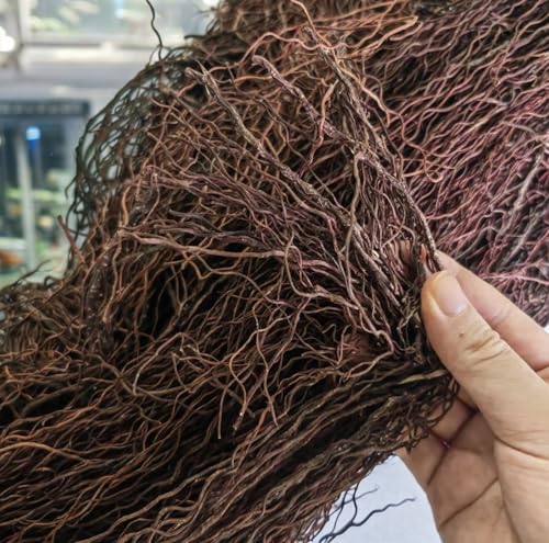 YZHZOM 160g Aquarium Driftwood Roots - Bushy Tank Wood for aquascaping - Perfect for Fry, Shrimp or Terrarium,Natural Wood Roots for Aquarium aquascaping