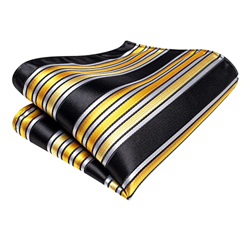 Image of Dubulle Silk Ties Set for Men Formal Paisley Striped Necktie Pocket Square Cufflinks 3PCS Sets Wedding Business Party