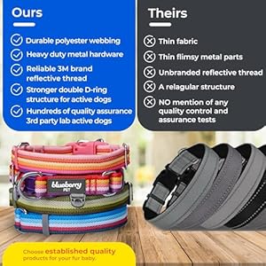 Blueberry Pet 3M Reflective Dog Collars | Adjustable Dog Collar w/Multi-Colored Stripe - Mixed Tone Rainbow Color | Nylon Pet Collars for Dogs & Refflective Dog Collar for Large Dogs Blueberry Pet 3M Reflective Dog Collars Adjustable Dog Collar wMulti Colored Stripe Mixed Tone Rainbow Color Nylon Pet Collars for Dogs Refflective Dog Collar for Large Dogs