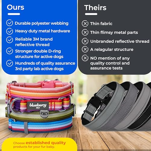 Blueberry-Pet-3M-Reflective-Dog-Collars-Adjustable-Dog-Collar-wMulti-Colored-Stripe-Mixed-Tone-Rainbow-Color-Nylon-Pet-Collars-for-Dogs-Refflective-Dog-Collar-for-Large-Dogs Blueberry Pet 3M Reflective Dog Collars Adjustable Dog Collar wMulti Colored Stripe Mixed Tone Rainbow Color Nylon Pet Collars for Dogs Refflective Dog Collar for Large Dogs