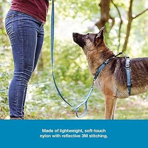 Blue9 Reflective Dog Leash Double Attachment 6 Foot Adjustable Lead with 3m Reflective Stitching for Obedience Running and Agility Training Made in the Usa Smallmedium Blue  Cucciolini Doodles Blue 9 reflective dog leash double attachment 6 foot adjustable lead with 3m reflective stitching for obedience running and agility training made in the usa smallmedium blue   cucciolini doodles