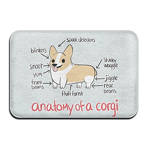 DDDHN Anatomy Of A Corgi Doormat Entrance Mat Floor Mat Rug Indoor/Outdoor/Front Door/Bathroom Mats Rubber Non Slip