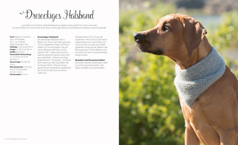 Strickbuch Hund – Strick-Lieblinge für deinen Hund: Kleidung, Accessoires und Spielzeug für fröhliche Fellnasen. Hundepullover im Scandi-Stil stricken.