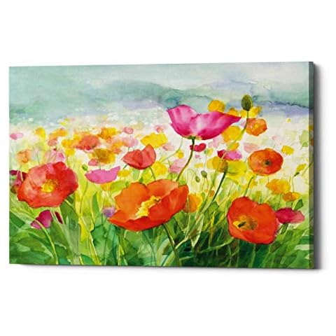 Epic Graffiti 'Meadow Poppies' by Danhui Nai Canvas Wall Art, 26" x 34", Orange Cover