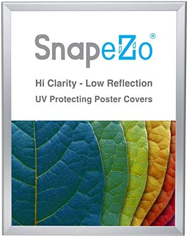 SnapeZo Photo Frame 18x24, Silver, 1.25 Inch Aluminum Profile, Front-Loading Snap Frame, Wall Mounting, Professional Series