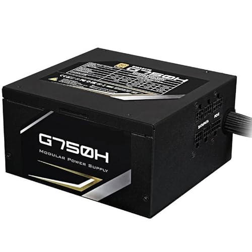 PSU For Gigabyte ATX 80plus Gold Half Module Game Mute 電源 750W スイッチング電源 G750H