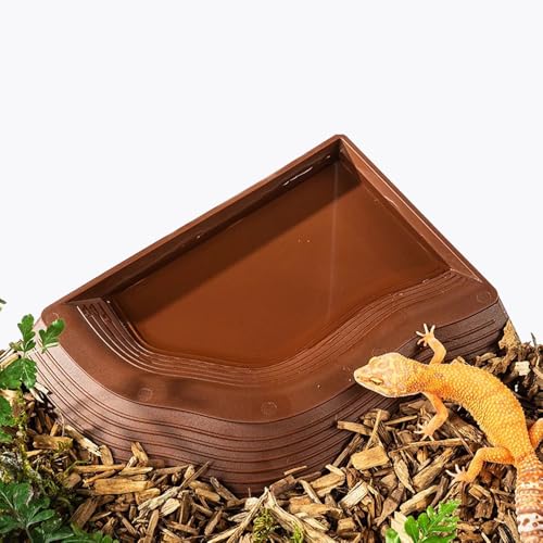 Comida Tortugas Terrestres Komodo Marca Runiash