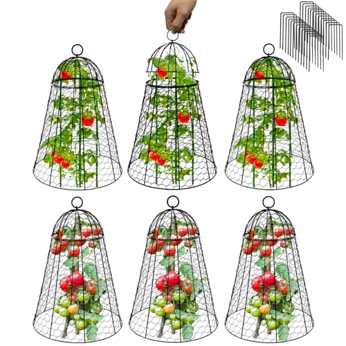 Garden Cloches for Plants Extra Large Sapbontchi Garden Cloche Chicken Wire Cloche for Plants Cages Cover Plant Protectors from Animals in Outdoor Vegetable Garden Set of 6 Plant Cloche 20