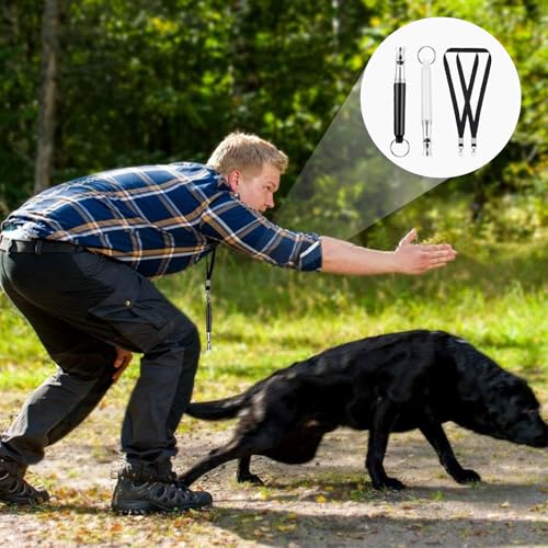 2 Stück Hundepfeife Rütter Rückruf,Hundepfeife Hochfrequenz Lautlos,Hundepfeife Rückruf,Hundetraining Hundepfeifen,Pfeife Hund Rückruf,Dog Whistle,Erziehungshilfen für Hunde,Hilfsmittel Pfeifen Hund
