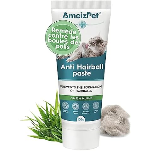 Pâte Anti Boule de Poil AmeizPet Cover