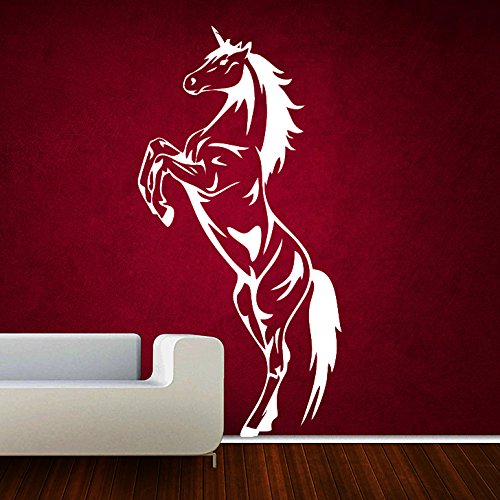Decor Kafe Horse Wall Sticker (PVC Vinyl Film, 91.44 cm x 45.72 cm x 2.54 cm, White) (B01BOTIOIA) Amazon Price History, Amazon Price Tracker