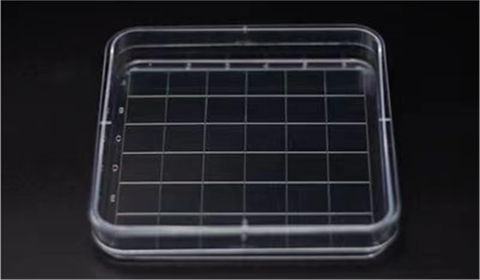 20 unids/Pack Todos los tamaños Laboratorio desechable estéril Placas de Petri de plástico Placas de Cultivo levadura bacteriana(120mm Option-1)