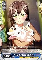 Amazon.co.jp: 花園たえ