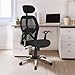SAVYA HOME Resin Apollo High Back Ergonomic Chair for Office Work at Home