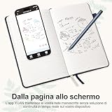 Yuan B0FP14Z43V lato 4