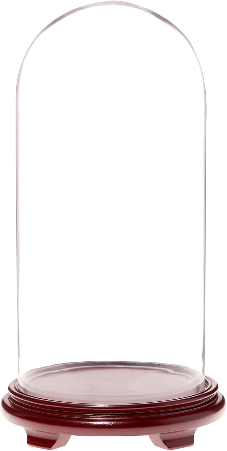 Plymor 9.75" x 20" Glass Display Dome Cloche (Red Wood Veneer Footed Base)