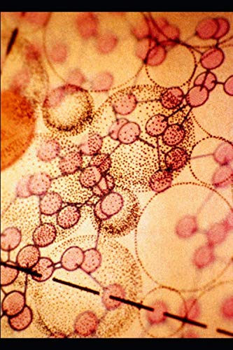 The Eradication of the 99%