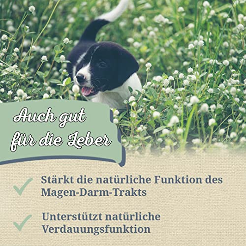 Krauterie Rosmarin Hund, Einzelfuttermittel für Hunde (100 g), Rosmarinblätter Geschnitten in Spitzenqualität