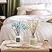 Airkeep Reed Diffuser 3.38 oz (100ml) 2pk,Clean Linen/Cashmere Vanilla Scented Reed Diffuser Set,Reed Diffuser & Oil Diffuser Sticks, Aromatherapy, Home & Kitchen Décor,Fragrance and Gifts