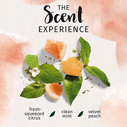 Herbal Essences, Volumizing Conditioner With Natural Source Ingredients, For Fine Hair, Color Safe, BioRenew White Grapefruit & Mosa Mint, 20 fl oz, Twin Pack