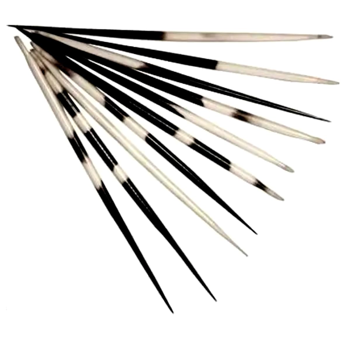 Astro- D Replica for Worship, Sahi Ka Kanta Made in The Shape. chew Stick 1 PC Decorative Showpiece Gift Item-image-41