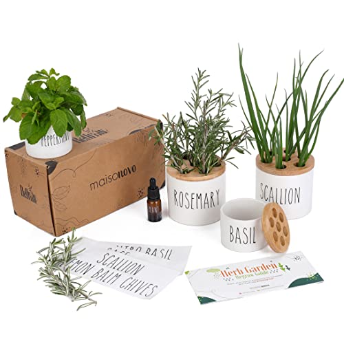Indoor Herb Garden Starter Kit