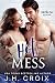 Hot Mess (Into The Fire Series Book 4)