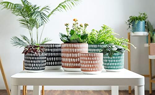 POTEY Cement Planters Pots for Plants Indoor - 6 + 4.5 Inch Indoor Concrete Vintage Style Dot Patterned Planters Bonsai Container with Drainage Hole 055603, Plants NOT Included