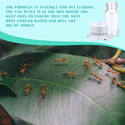 FERCAISH Pack of 2 Ant Glass Bottle Feeder, Ant Dispenser Cup Dispenser, Ant Nest Water Cup, Transparent Ant Drinks - Image 4