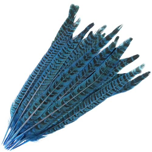 SYSUII 20 plumas de faisán, 25-30 cm, plumas de cola de faisán, plumas naturales para manualidades, atrapasueños, carnaval, disfraz, plumas, máscara, boda, fiesta, decoración, color azul