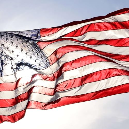 Rewiring democracy: What impact will AI have on our country's future?