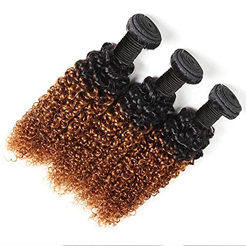 8A Grade Brazilian Curly Hair Weave 3 Bundles (14 14 14,300g) Brazilian Virgin Kinky Curly Human Hair Weave 8A 100% Unprocessed Hair Weft Extensions Ombre 2 Tone 1B/30 Color