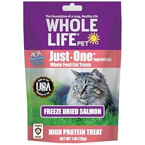 Whole Life Pet Just One Salmon Freeze Dried Cat Treats – Human Grade Cat Food Toppers, High Protein Cat Snacks, Freeze Dried Salmon Cat Toppers for Food, USA Made Natural Cat Treats – 1 oz (Pack of 1)