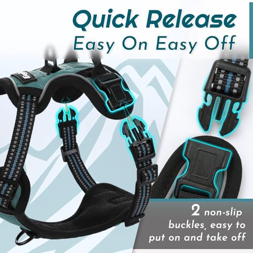 Image of Eagloo Dog Harness for Small Dogs, No Pull Pet Vest with 2 Leash Clips