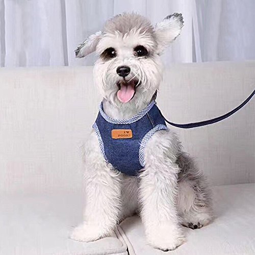 犬ハーネス 中型犬 犬用リードの人気商品 通販 価格比較 価格 Com 犬ハーネス 中型犬 犬用リードの人気商品 通販 価格比較 価格 Com